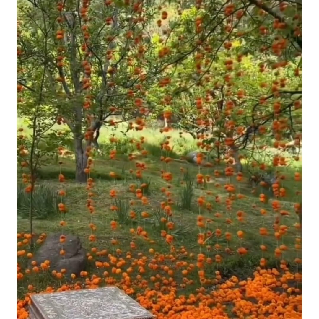 Vatna/ Haldi Backdrop