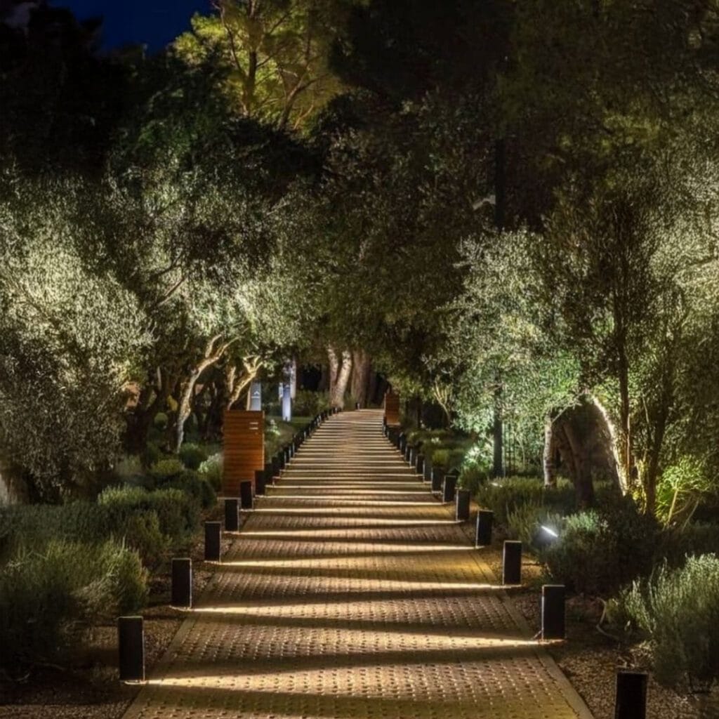 6.-Tree-Highlights-on-Pathway